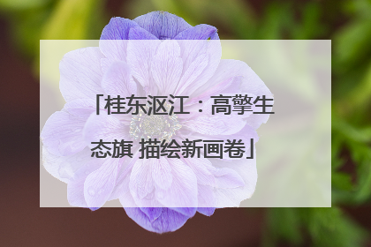 桂东沤江：高擎生态旗 描绘新画卷