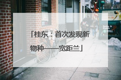 桂东：首次发现新物种——宽距兰