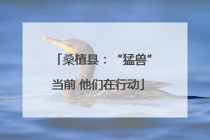 桑植县：“猛兽”当前 他们在行动