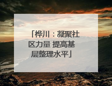 桦川：凝聚社区力量 提高基层整理水平