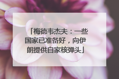 梅德韦杰夫：一些国家已准备好，向伊朗提供自家核弹头
