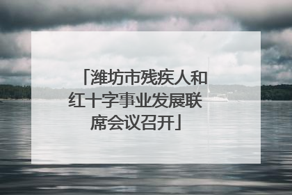 潍坊市残疾人和红十字事业发展联席会议召开