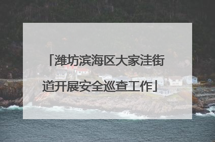 潍坊滨海区大家洼街道开展安全巡查工作