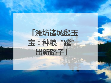 潍坊诸城殷玉宝：种粮“蹚”出新路子