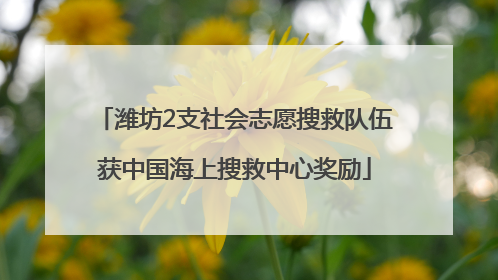 潍坊2支社会志愿搜救队伍获中国海上搜救中心奖励