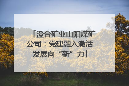 澄合矿业山阳煤矿公司：党建融入激活发展向“新”力