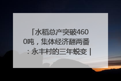 水稻总产突破4600吨，集体经济翻两番：永丰村的三年蜕变｜您牵挂的四川