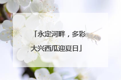 永定河畔，多彩大兴西瓜迎夏日