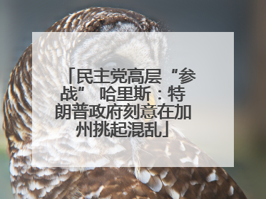 民主党高层“参战” 哈里斯：特朗普政府刻意在加州挑起混乱