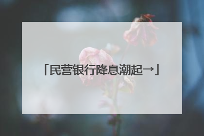 民营银行降息潮起→
