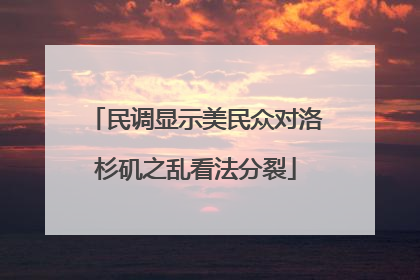 民调显示美民众对洛杉矶之乱看法分裂