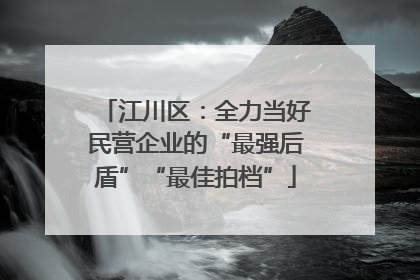 江川区：全力当好民营企业的“最强后盾”“最佳拍档”