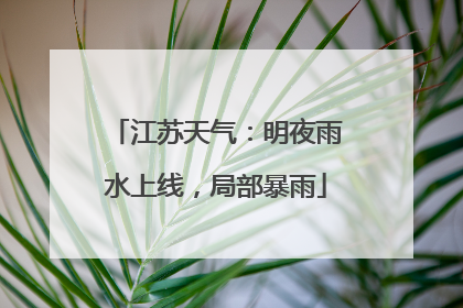 江苏天气：明夜雨水上线，局部暴雨
