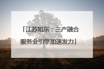 江苏如东：三产融合 服务业引擎加速发力