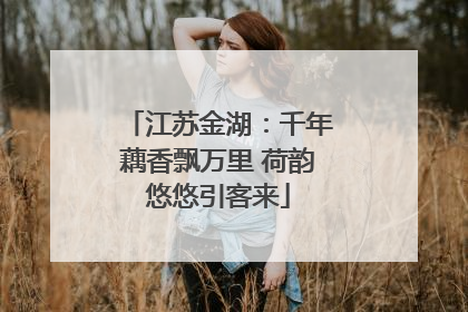 江苏金湖：千年藕香飘万里 荷韵悠悠引客来