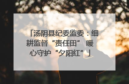 汤阴县纪委监委：细耕监督“责任田” 暖心守护“夕阳红”