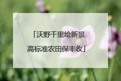 沃野千里绘新景 高标准农田保丰收