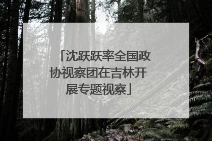 沈跃跃率全国政协视察团在吉林开展专题视察