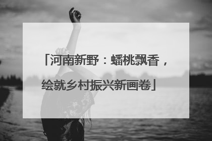 河南新野：蟠桃飘香，绘就乡村振兴新画卷