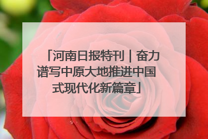 河南日报特刊｜奋力谱写中原大地推进中国式现代化新篇章