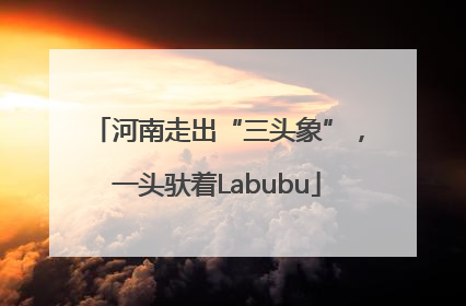 河南走出“三头象”，一头驮着Labubu