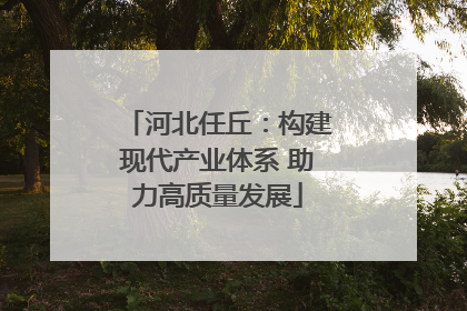河北任丘：构建现代产业体系 助力高质量发展