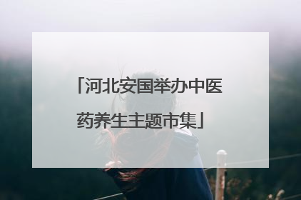 河北安国举办中医药养生主题市集