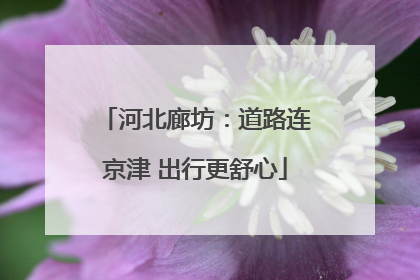 河北廊坊：道路连京津 出行更舒心
