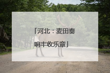 河北：麦田奏响丰收乐章