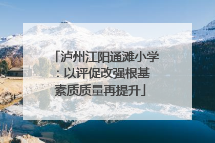 泸州江阳通滩小学：以评促改强根基 素质质量再提升