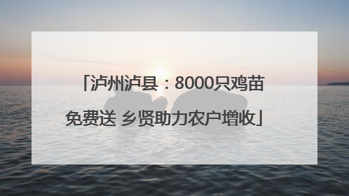 泸州泸县：8000只鸡苗免费送 乡贤助力农户增收