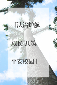 法治护航成长 共筑平安校园