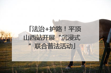 法治+护路！平顶山西站开展“沉浸式”联合普法活动