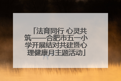 法育同行 心灵共筑——合肥市五一小学开展结对共建暨心理健康月主题活动