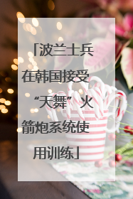 波兰士兵在韩国接受“天舞”火箭炮系统使用训练