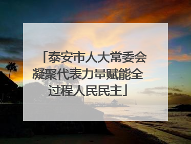 泰安市人大常委会凝聚代表力量赋能全过程人民民主