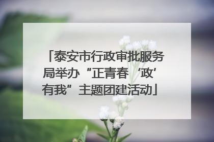 泰安市行政审批服务局举办“正青春‘政’有我”主题团建活动
