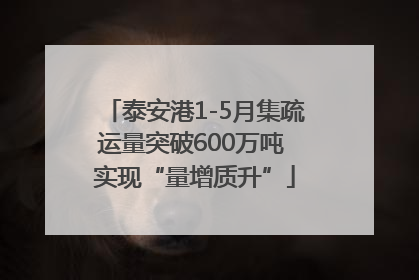 泰安港1-5月集疏运量突破600万吨 实现“量增质升”