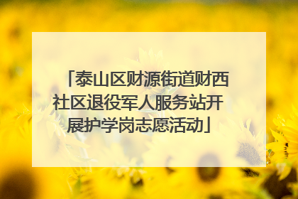 泰山区财源街道财西社区退役军人服务站开展护学岗志愿活动