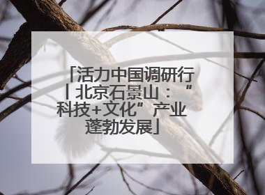 活力中国调研行丨北京石景山：“科技+文化”产业蓬勃发展