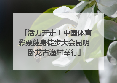 活力开走！中国体育彩票健身徒步大会昆明卧龙古渔村举行