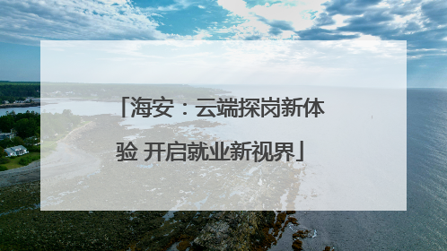 海安：云端探岗新体验 开启就业新视界
