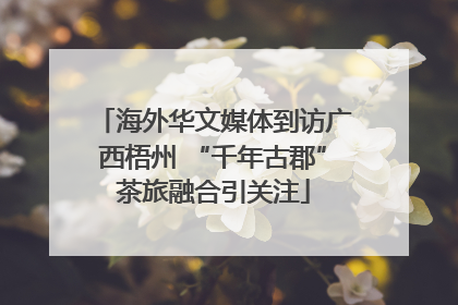 海外华文媒体到访广西梧州 “千年古郡”茶旅融合引关注