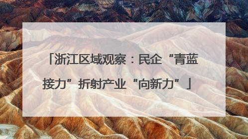 浙江区域观察：民企“青蓝接力”折射产业“向新力”