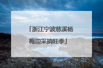 浙江宁波慈溪杨梅迎采摘旺季