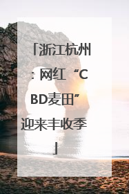 浙江杭州：网红“CBD麦田”迎来丰收季