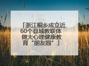 浙江桐乡成立近60个县域教联体 做大心理健康教育“朋友圈”