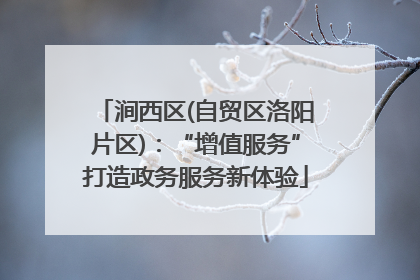涧西区(自贸区洛阳片区)：“增值服务”打造政务服务新体验