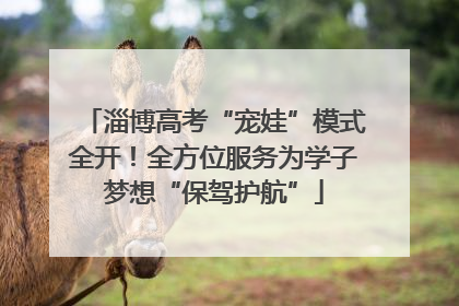 淄博高考“宠娃”模式全开！全方位服务为学子梦想“保驾护航”