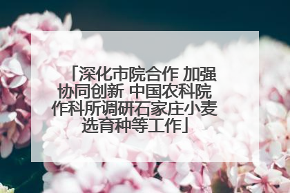 深化市院合作 加强协同创新 中国农科院作科所调研石家庄小麦选育种等工作